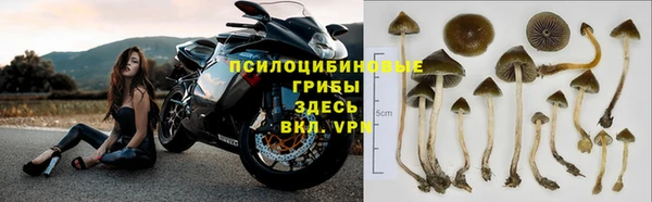 бошки Богородск