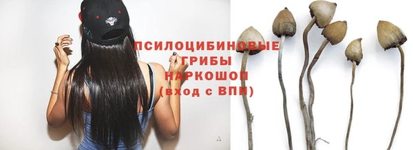 марки nbome Богородицк