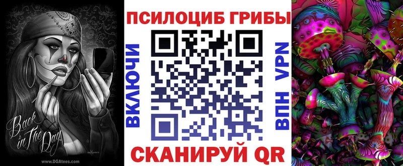 OMG маркетплейс  Ершов  Галлюциногенные грибы MAGIC MUSHROOMS 